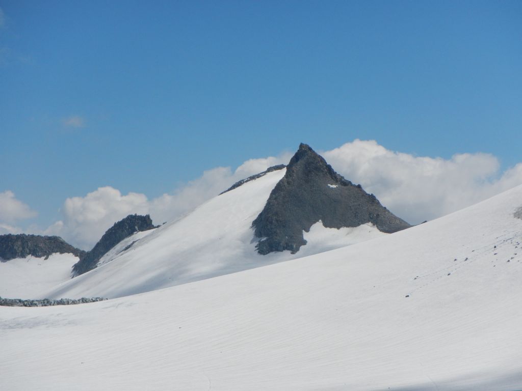 Punta Venerocolo